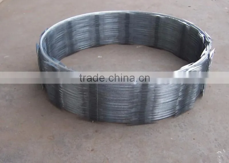 wholesale CBT-65 hot-dipped galvanized razor barbed wire