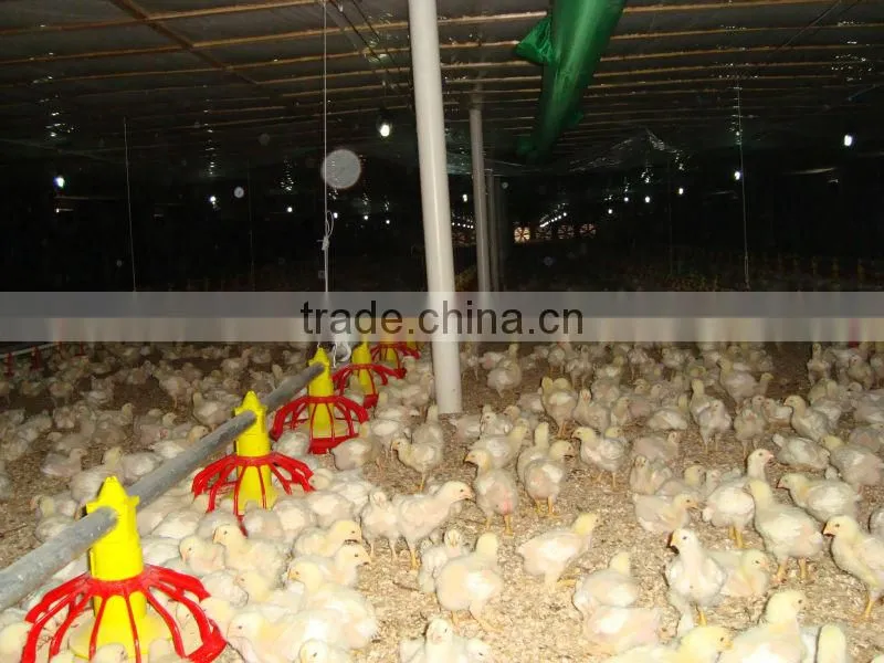 Height Adjustable Automatic Auger Pan Feeder Broiler Machine
