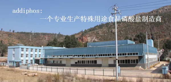 Yunnan Addiphos Technology Co., Ltd company overview - view 1