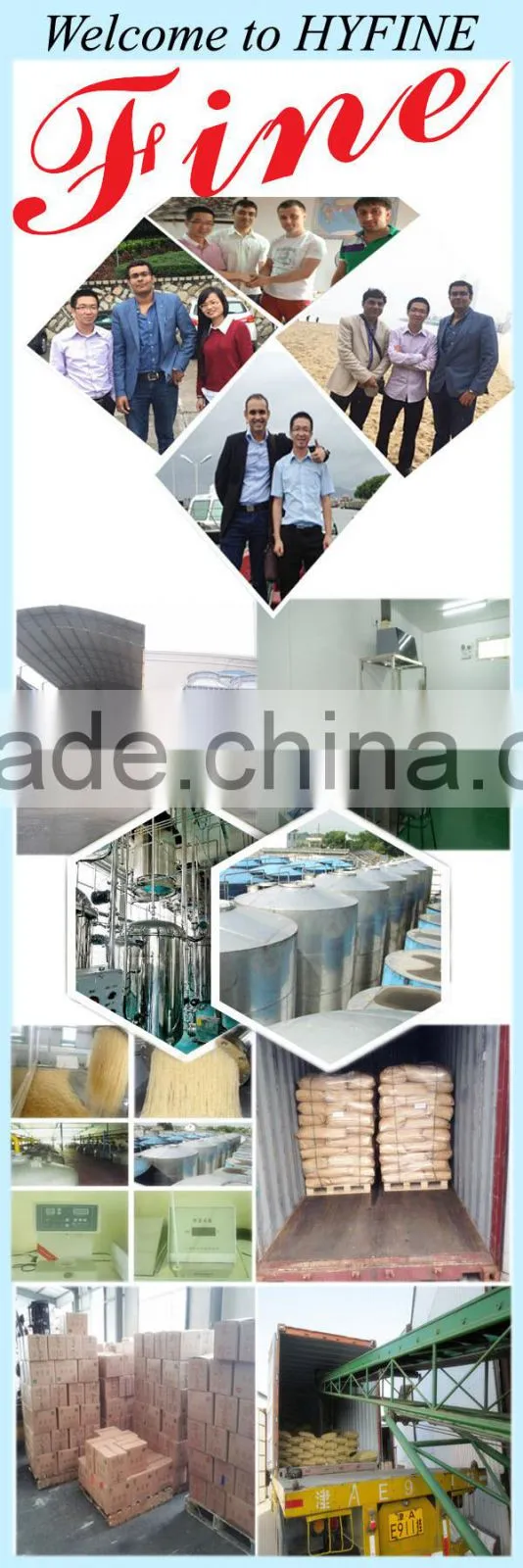 bodybuilding supplements protein/ hydrolyzed collagen powder