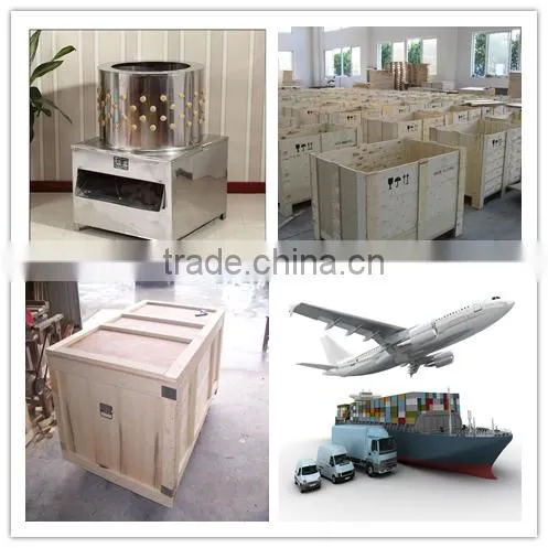 98% Unhairing Rate Chicken Plucking Machine Chicken Killing Machine For Sale
