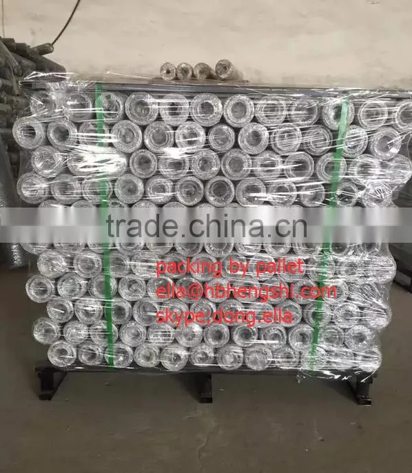 Hexagonal Mesh/Hexagonal Wire Mesh