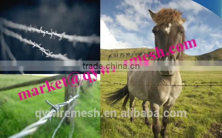 Galvanized Surface Treatment and Steel Wire Material razor barbed wire mesh