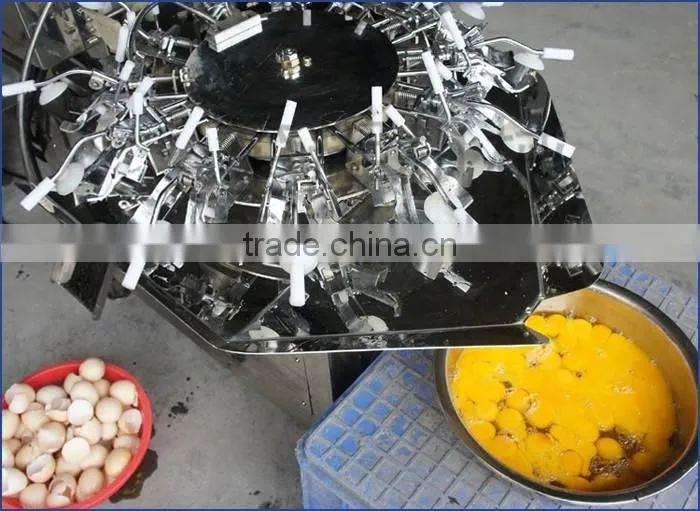 Factory price good performance automatic egg separating machine