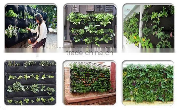 nonwoven waterproof wall hanging Grow Bag factory