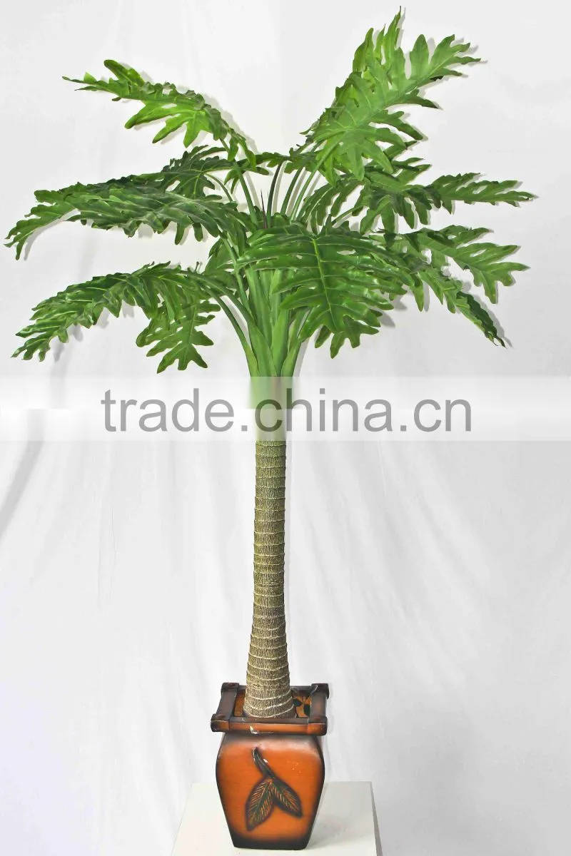 Factory supply evergreen plants