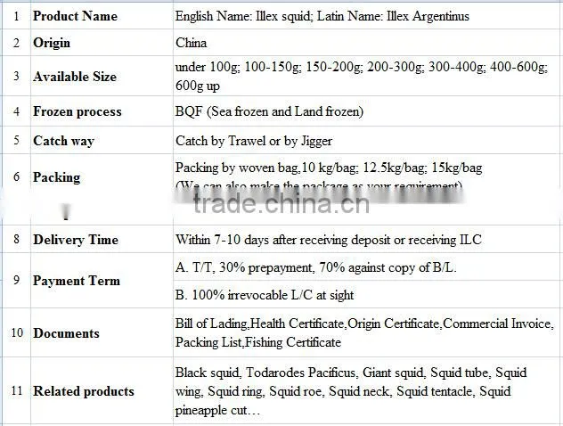 Frozen Illex Argentinus Squid