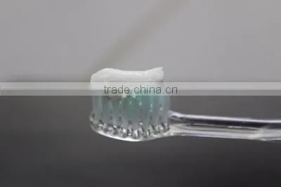 Japanese toothpaste with Organic Green Tea Powder Natural Toothpaste made in Japan