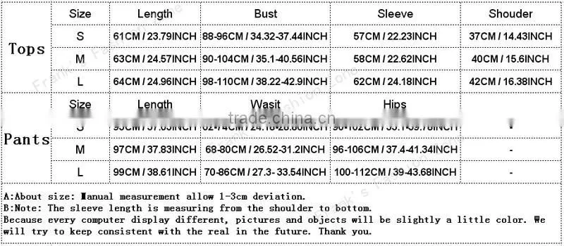 Wholesale Woman Clothes sets 2016 Ballinciaga Tracksuits 2 Piece Set Women Sport Suit Hoodies Jogging