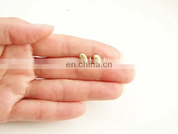Tiny hook stone Earrings