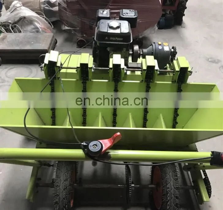 Hot Selling 6 Row Garlic Planter/tractor driven garlic seeder with wholesale price