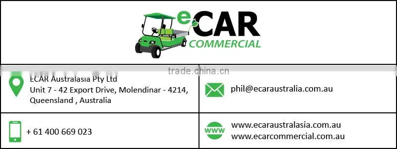 Golfers Special Series New Electric Golf Cart Manufacturer