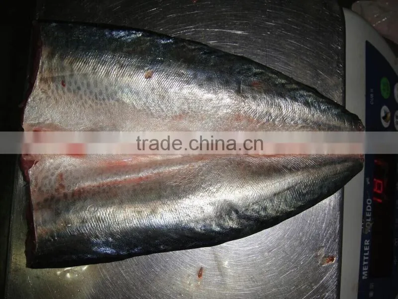 frozen block mackerel flaps