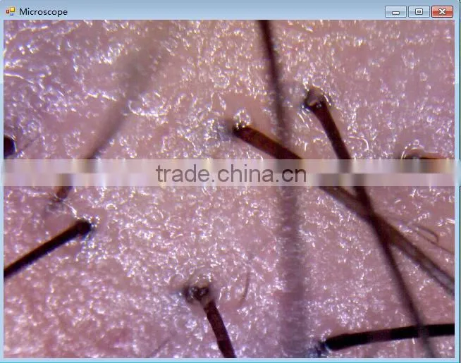 Shenzhen factory wholesale 600 times USB Portable Digital Microscope manufacturers
