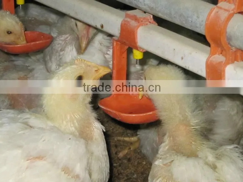 poultry water system 2013 new sale!