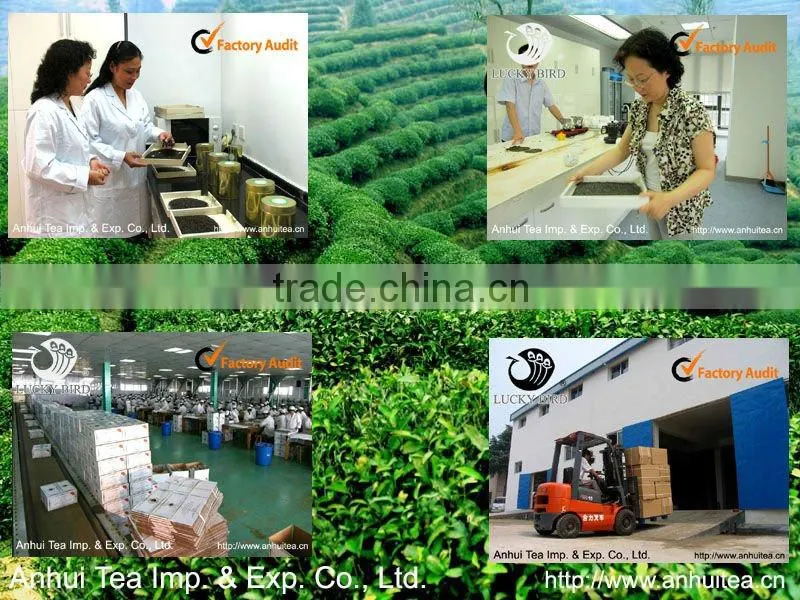 China Green Tea Special Chunmee 9371AAAA for African market