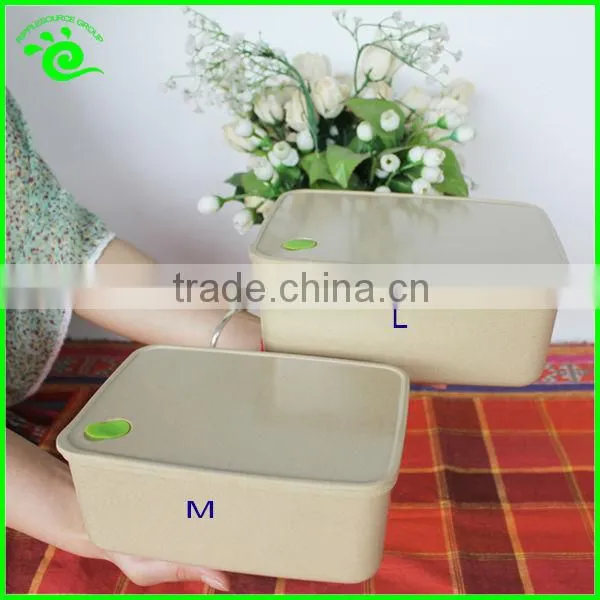 BPA-free Biodegradable Food Container With Leak-Proof Lid