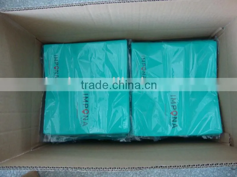 CMYK Printing PVC Ticket Holder with Two Clear Pocket