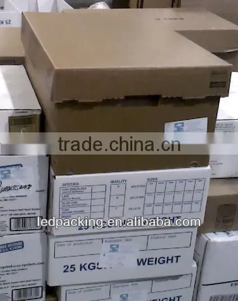 documents carton box for storage