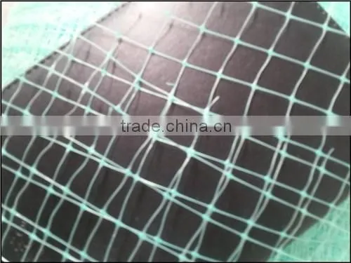 Strong Plastic slope road protection net/Ground softing net/Grass growing net