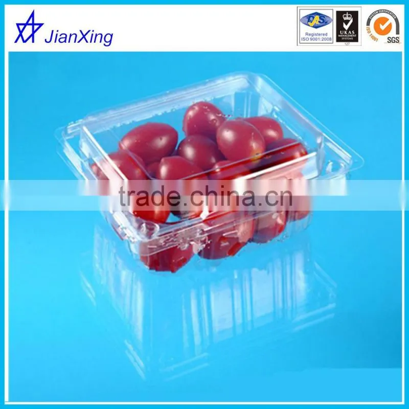 Eco Friendly Plastic Mushroom Packing Tray in Good Quality