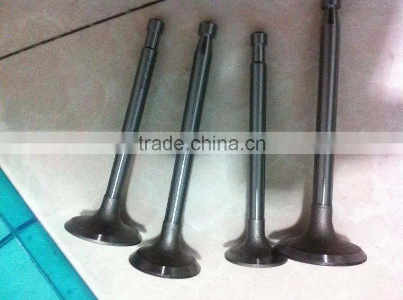 intake/exhaust valve for auto engine