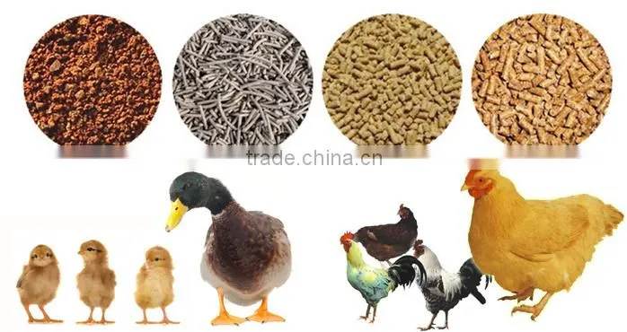 high working efficiency top rank pet bird food extruder with long service life