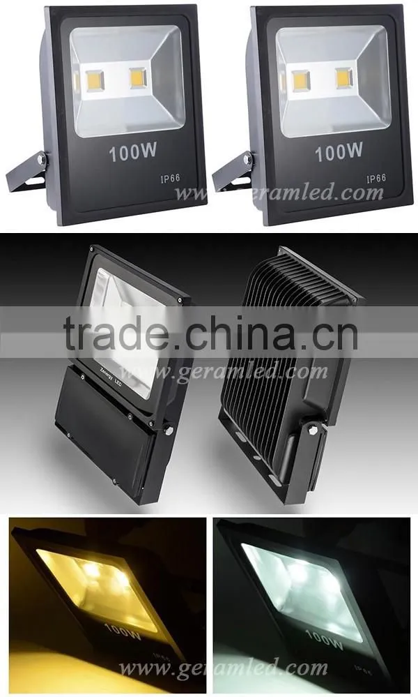 High Quality CE ROHS COB SMD Outdoor IP65 IP66 10W 20W 30W 50W 70W 100W 150W LED Floodlight