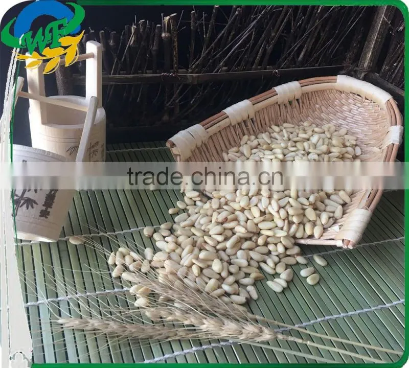 2016 Chinese pine nuts without shell for export