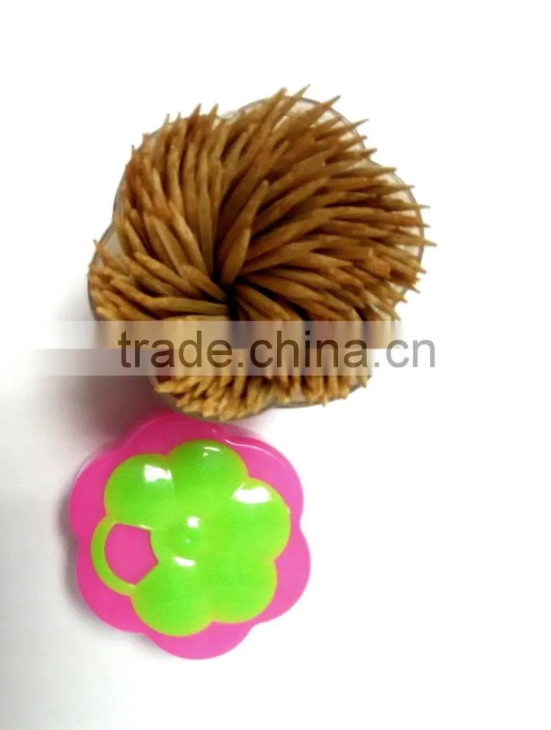 bamboo toothpick with blue cover canister