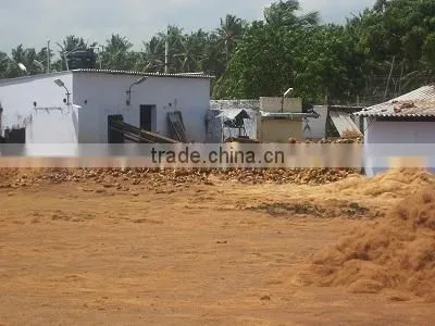 Natural Coco peat/Coco pith/Coir Products