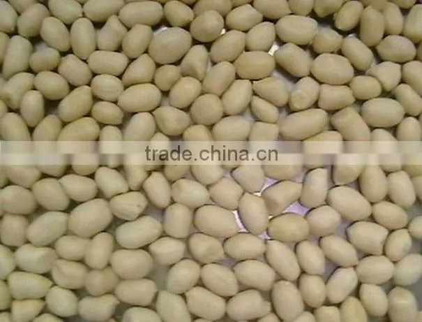 long blanched peanut kernels 2 *12.5kgs vaccum bag/carton
