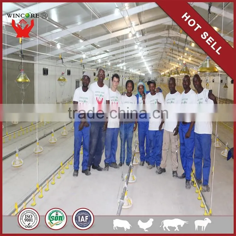 Automatic Poultry House Animal feeding line for broiler chicken Poultry equipment in Animal feeding system