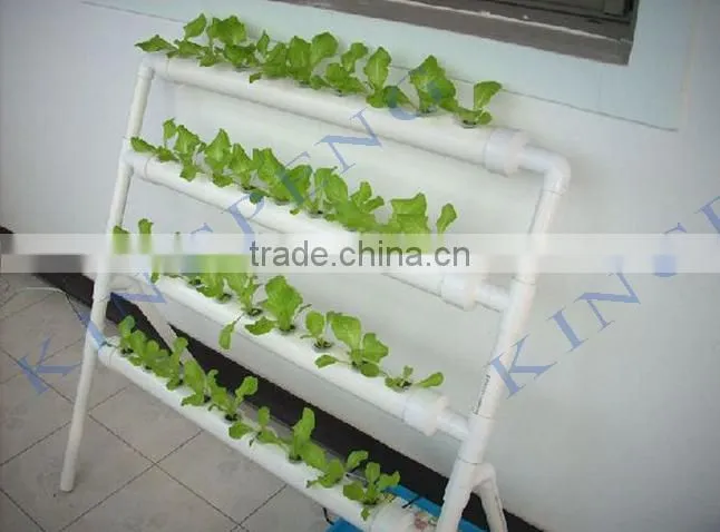 hobby greenhouse in falimy growing
