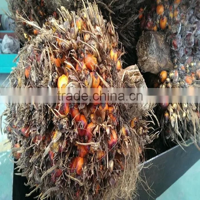 CE small scale good quality newest price palm oil mill