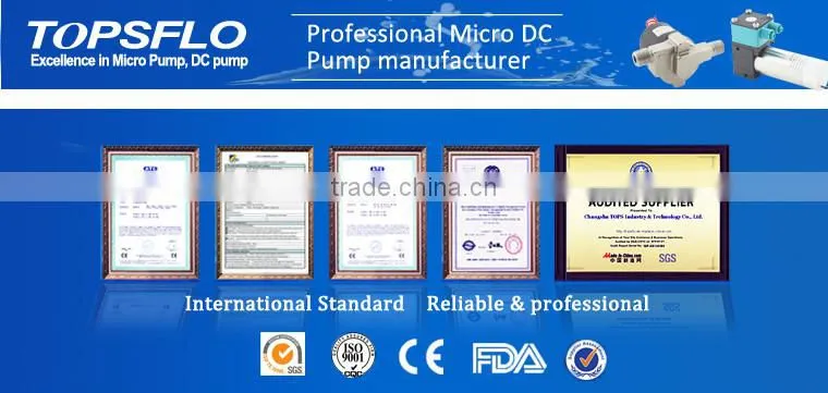 TOP performance diaphragm 12V dc vacuum pump