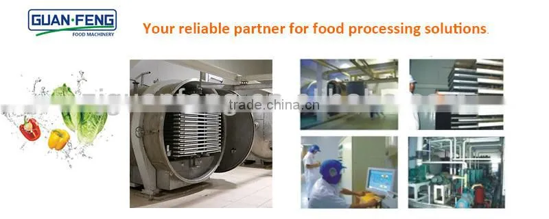 Professional Fruit Lyophilizer Equipment Industrial Lemon Drying Machine