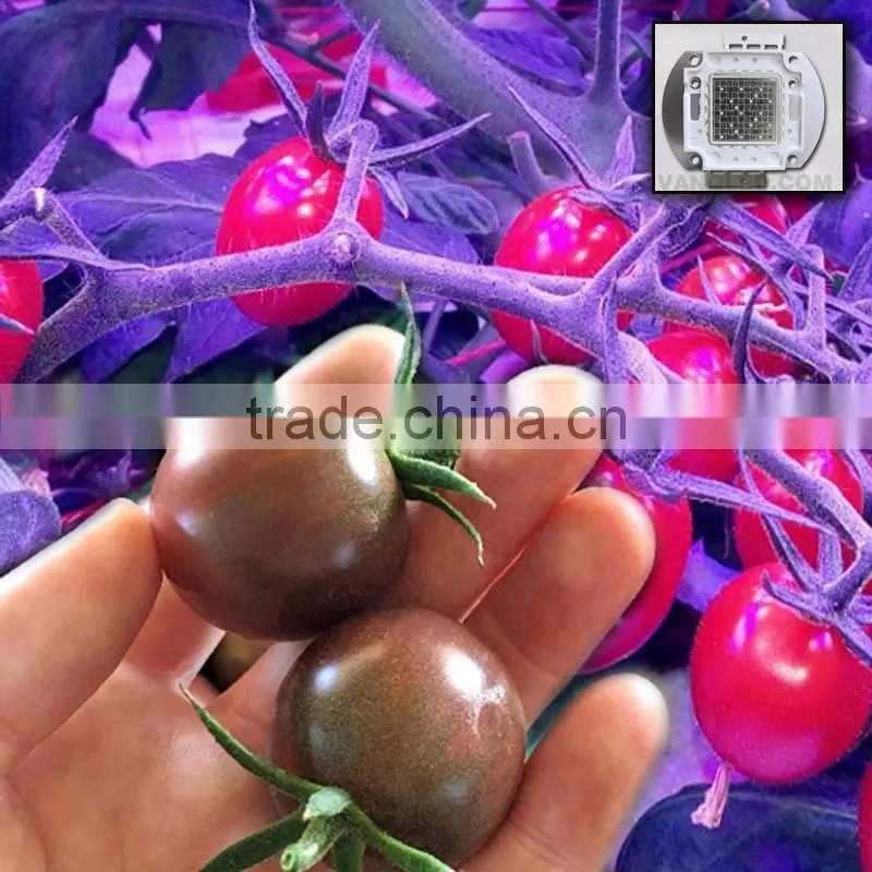 300w grow light vanq waterproof hydroponics led plant high power indoor lamp