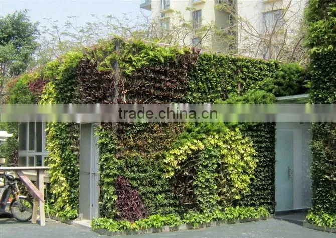 Wholasale fashion designs/high imitation artificial plant wall, accept customization for indoors and outdoors decoration
