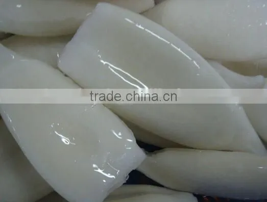 Good Quality Seafood Squid (Squid Tube)