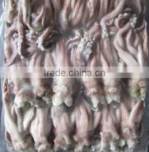 Best Quality New Season Squid Tentacles Good Taste