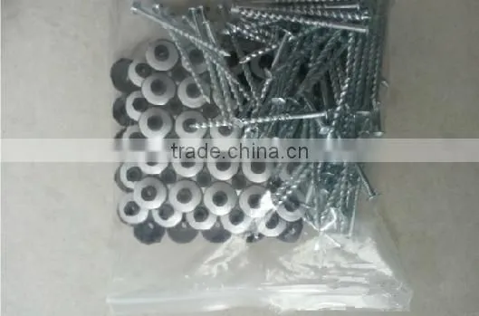 top quality galvanized twisted shank roofing nail screw nail with plastic cap