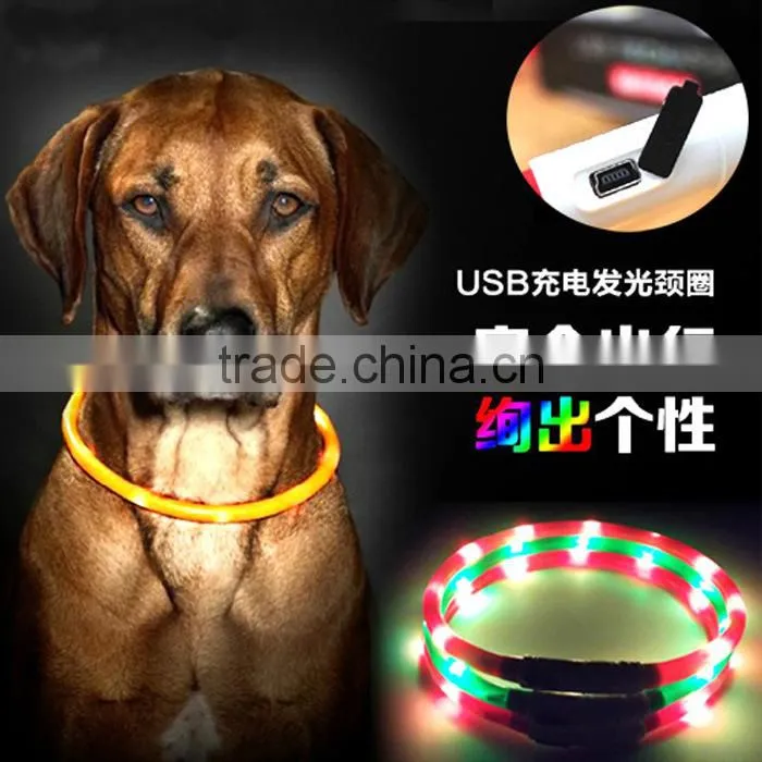 2015 Hotest Pet product led usb rechargeable dog collars, glowing collar waterproof, Flashing LED light Dog Collar