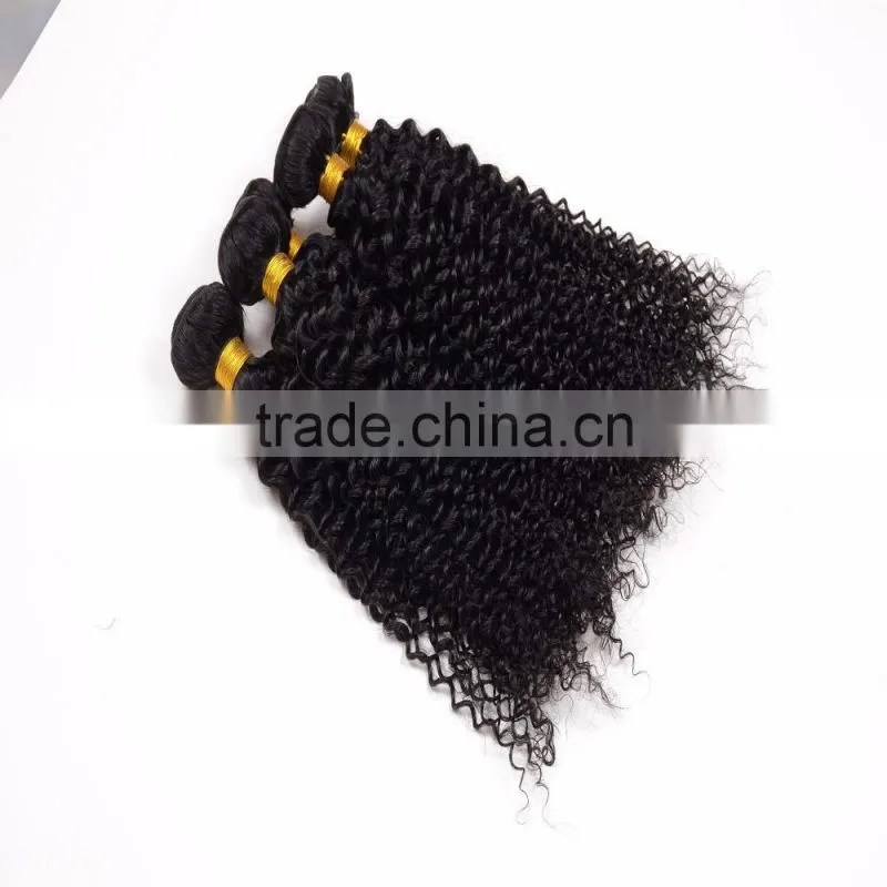 Free sample hair bundles,2016 Hottest Virgin Mongolian kinky curly hair
