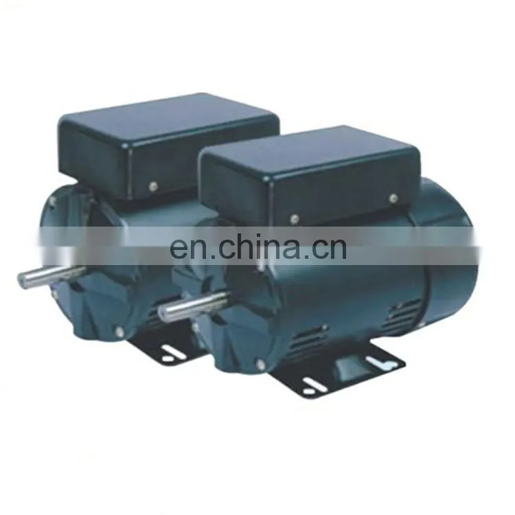 YL8042 1KW single phase electric motor