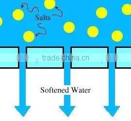 Salt/RO/Pure Water Purifier
