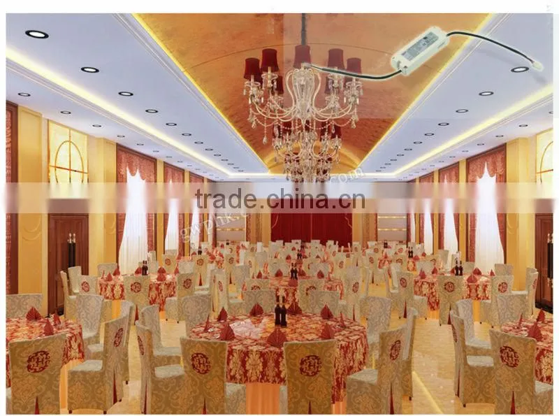 2013 Newest Wholesale Dimmable 50 Watt Led Driver