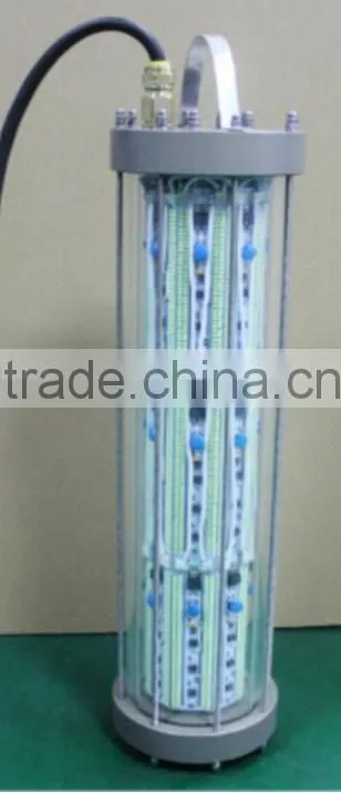 qualified led fishing light underwater for squid fishing gloves