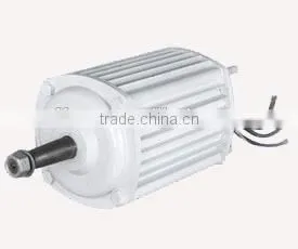 5000w wind generator PM generator for wind turbiene
