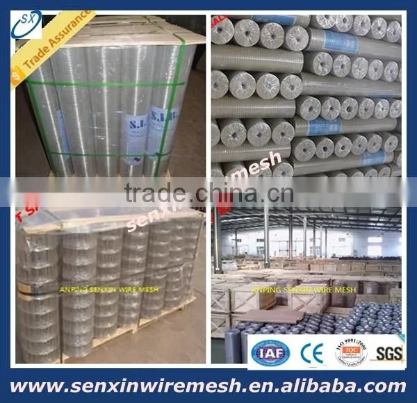China manufacturer Galvanized welded wire mesh panel or roll , pvc coated Welded Wire Mesh